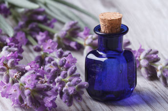 Lavender essential oils can help your memory.