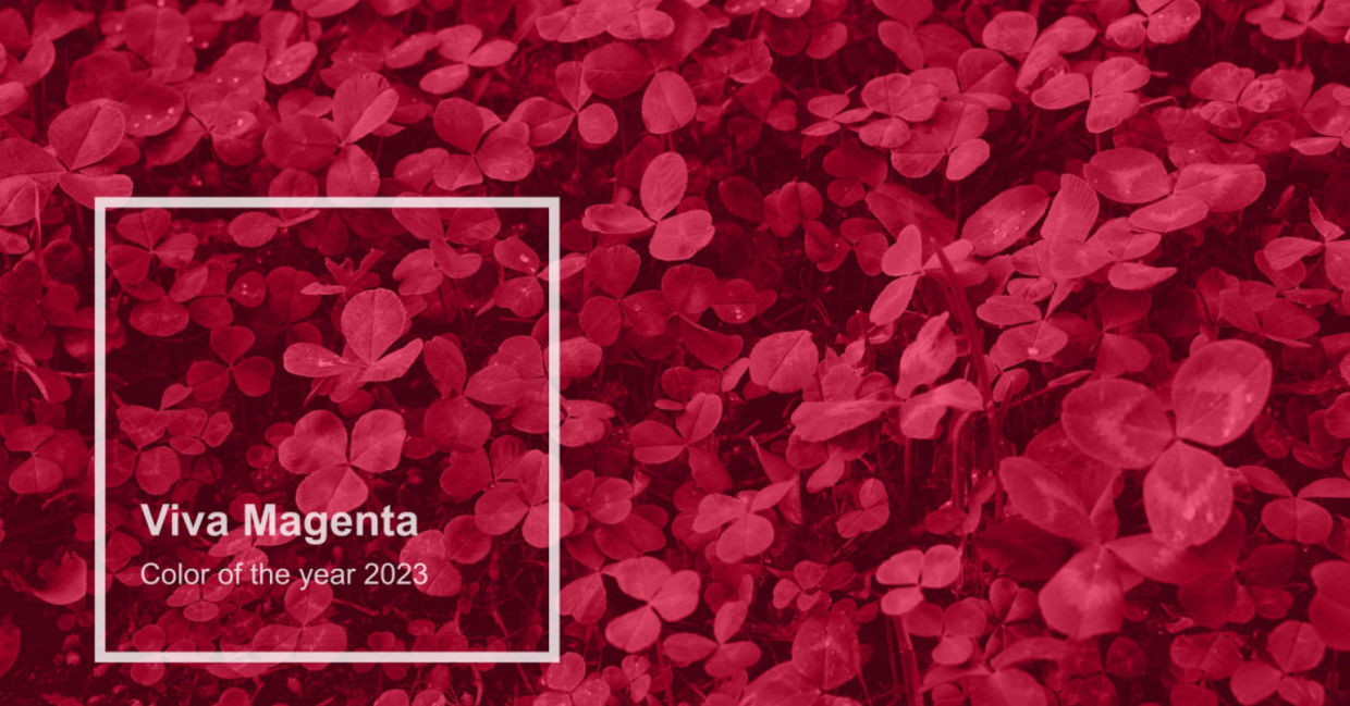 Color of the year 2023: Viva Magenta, unconventional red