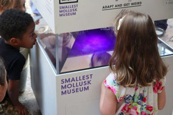 The holographic aquarium in MICRO's Smallest Mollusk Museum