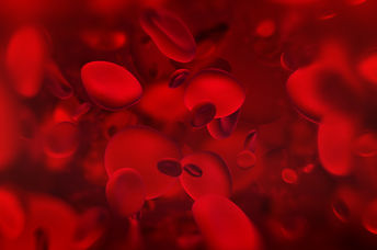 Red Blood Cells