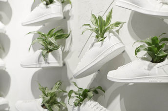 adidas vegan shoes.