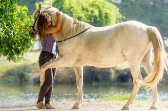 A woman is hugging a retired racehorse.