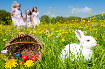 As an Easter bunny sits beside a basket of colorful eggs, children are out searching on an Easter egg hunt.