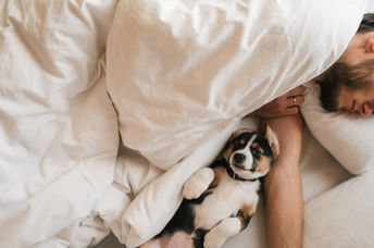 A man is asleep in bed with new innovative bedding.