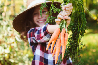 Girl picking carrots in the late fall.