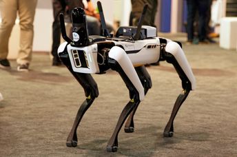 Robot dog prototype.