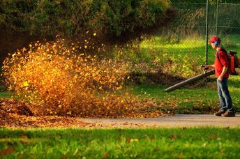 Cleaning a lawn with a leaf blower.