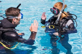 Learn how to scuba dive in Cape Town.