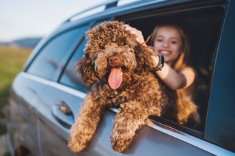 Family taking a road trip with their dog.