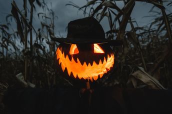 A frightening scarecrow.