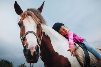 Riding horses can be therapeutic for many people.