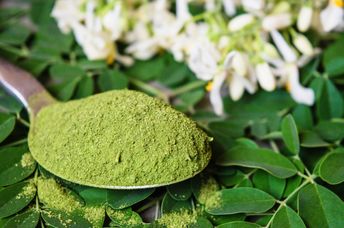 Moringa powder, leaves and flowers.