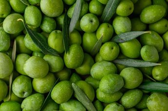 Unprocessed olives.