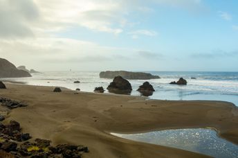 A dream-like beach on the West Coast of America on a calm and foggy day.