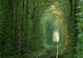 Tunnel of Love