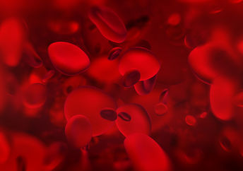 Red Blood Cells