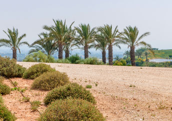 Hiriya park in Israel was a landfill.