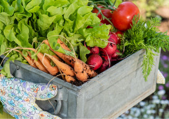 Home grown produce.