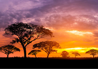 Beautiful African landscape.