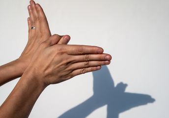 Hands with shadow on a white background.