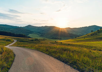 Nature road.