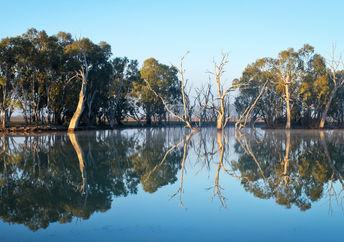 A river in Australia.