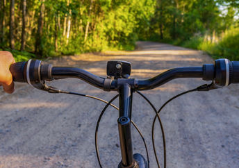 Cycling in the forest.