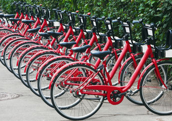 Bicycles for rent.