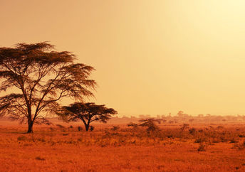 Namibia in Africa.