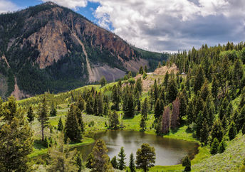 Yellowstone National Park.