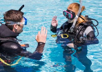 Learn how to scuba dive in Cape Town.