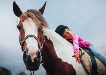 Riding horses can be therapeutic for many people.