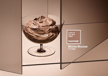 PANTONE 17-1230 Mocha Mousse.