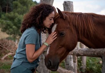 Equine therapy helps people disconnect from trauma.