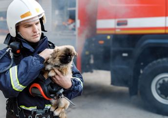 Firefighter rescuing a pet.