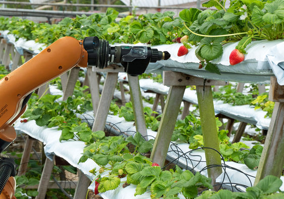 Robots Farming Inside Silicon Valley Warehouse - Goodnet
