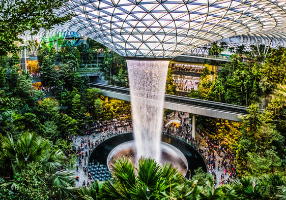 Singapore's Changi airport has a new Terminal 4 inspired by rainforests