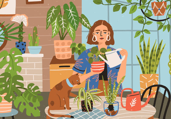 Naming Your House Plants: Why You Should Do It