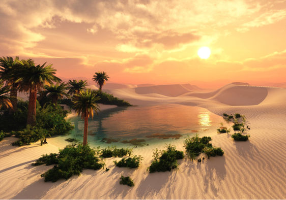 Oasis, Desert Oasis, Arid Climate & Water Sources