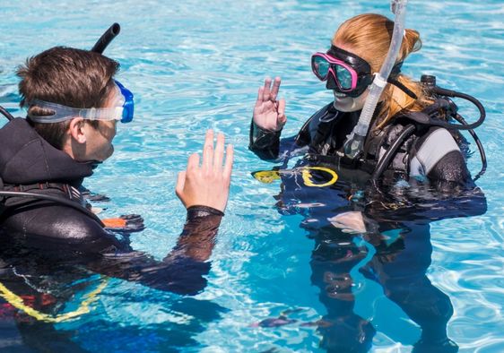 Learn how to scuba dive in Cape Town.