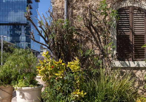 Historic buildings and modern skyscrapers in Tel Aviv’s restored Sarona quarter.