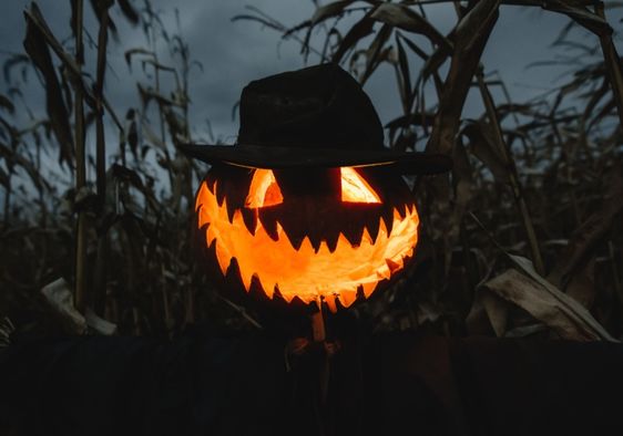 A frightening scarecrow.