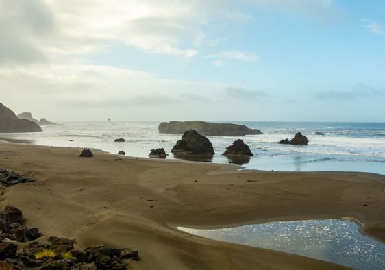 A dream-like beach on the West Coast of America on a calm and foggy day.