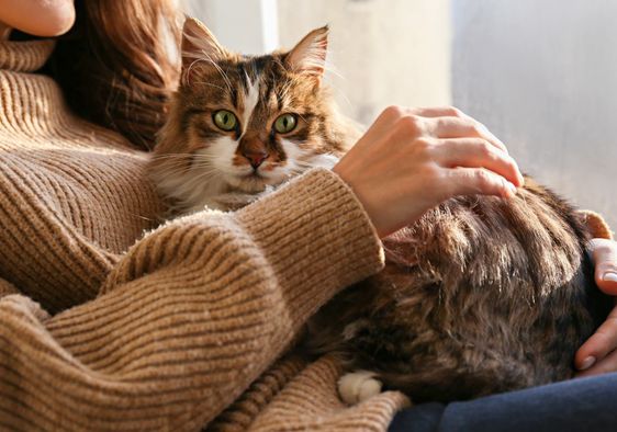 Woman petting her cat.