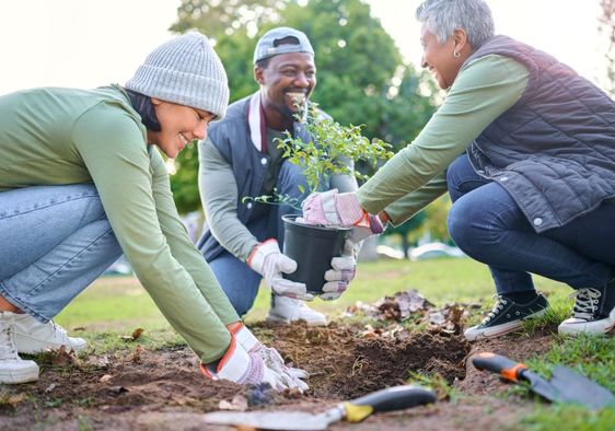 Volunteers planting trees in a park.