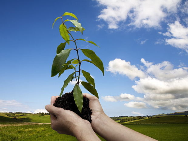 universities-have-a-responsibility-to-tackle-environmental-issues