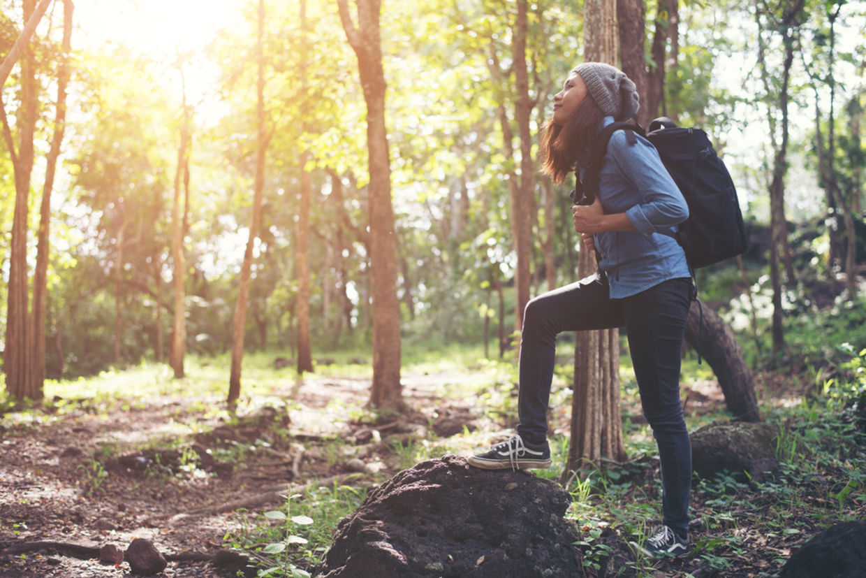 research on forest bathing