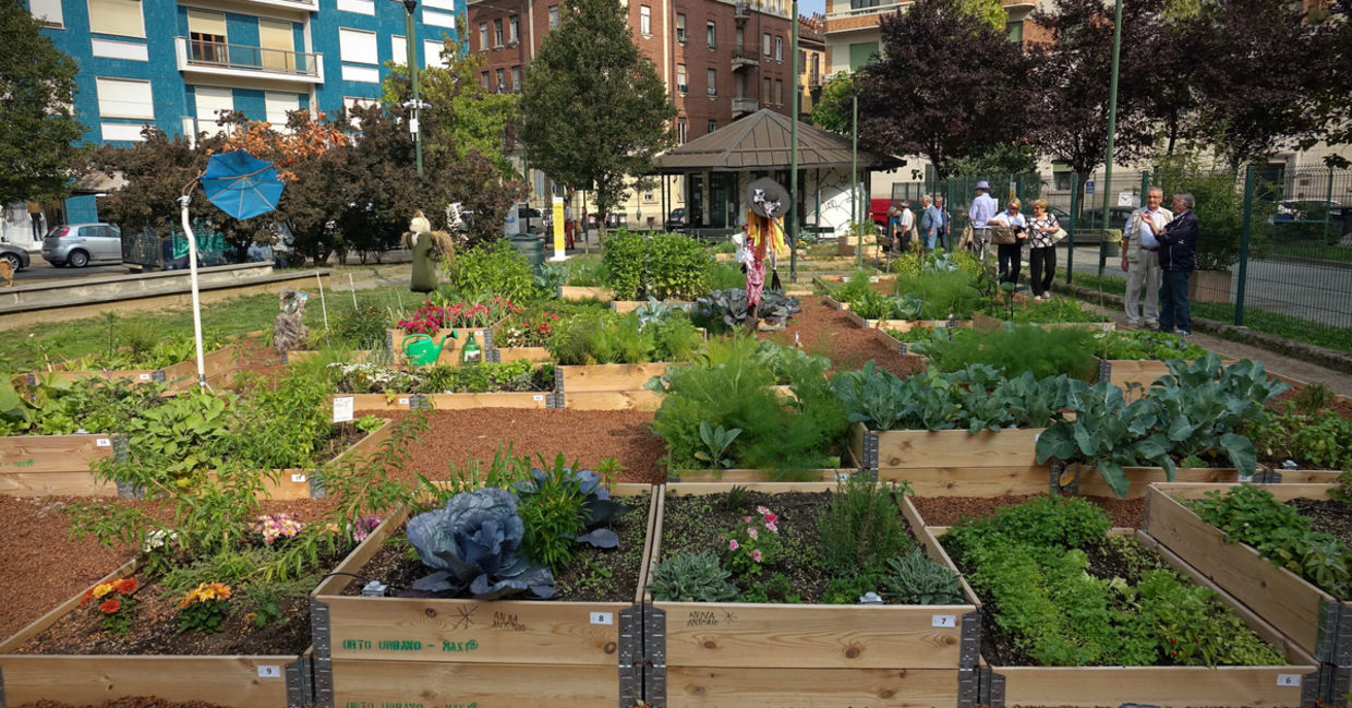 You Can Grow Free Food and a Community in Your Own Front Yard - Goodnet