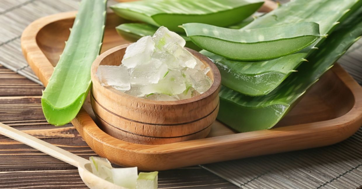 Cool aloe vera gel to soothe a sunburn.