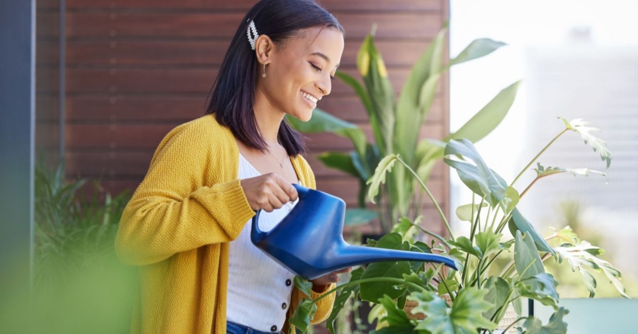 Watering plants.